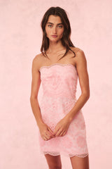 Vailia Organza Eyelet Mini Dress