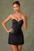 Embellished Sweetheart-Neck A-Line Mini Dress in Black
