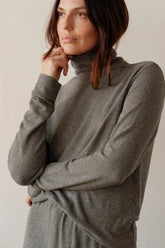 The Sweater Turtleneck