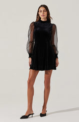 Velvet Sheer Puff Sleeve Dress