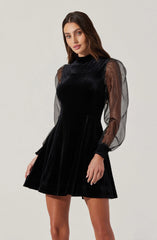 Velvet Sheer Puff Sleeve Dress