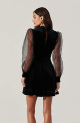Velvet Sheer Puff Sleeve Dress