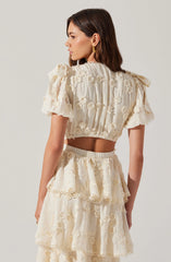 Arianell Embroidered Floral Tiered Dress